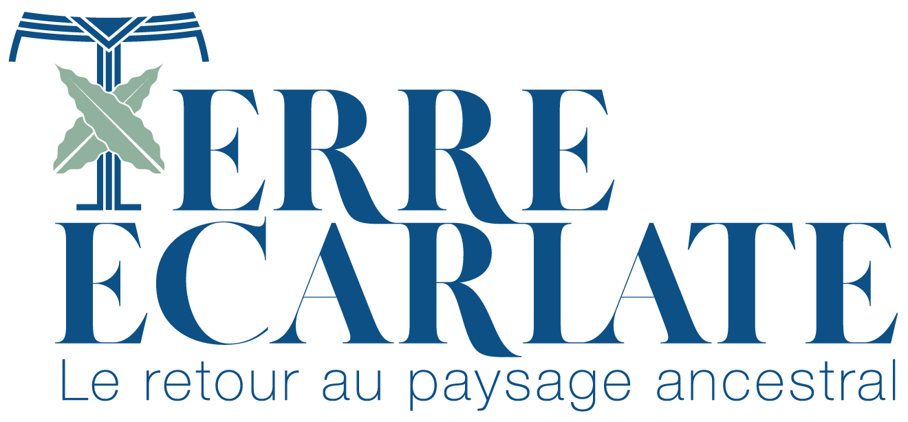 Terre Écarlate